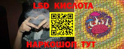 прущие крисы Новодвинск